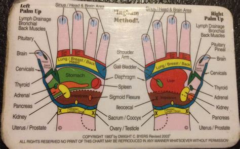 Reflexology Hand Pressure Points Hand Pressure Points Hand Reflexology Back Muscles