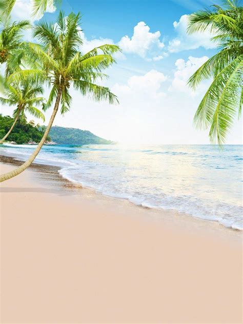 2019 Tropical Beach Scenic Photography Backdrops Green Palm Trees Blue