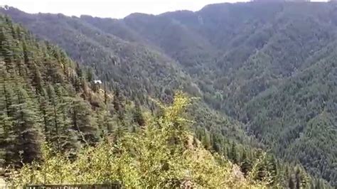 Green Valley In Shimla Natural Beauty Of Green Valley Youtube