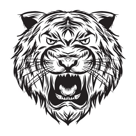 Black White Tiger Head Vector Illustration Vector Art At Vecteezy
