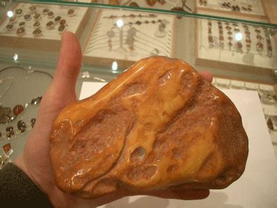 Außerdem ist sie imstande, die aura zu säubern, chakren zu erkennen. Collection polished amber stones (chunks) for sale ...