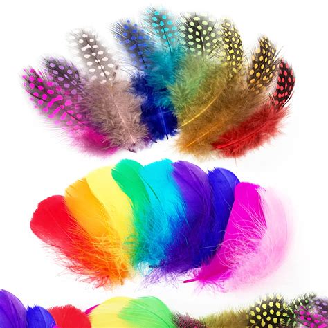 Rainbow Colours Craft Feathers Ubicaciondepersonascdmxgobmx