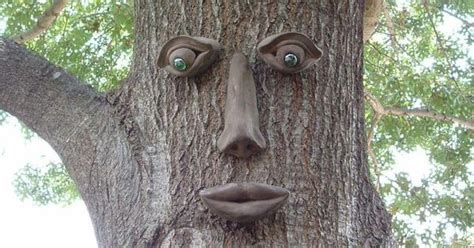 Genuine Tree Peeple Simon Tree Face Tree Faces Garden Art And Garden