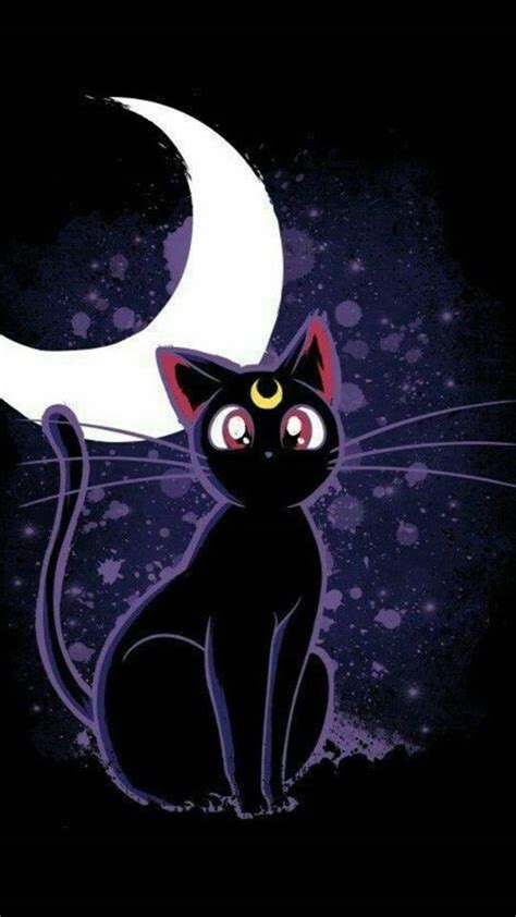 Pin By Erica Padilla On Sailor Moon Wallpaper Black Cat Art Sailor