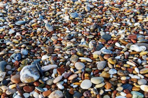 Rocks On A Pebble Beach Background Of Multicolored Stones Background