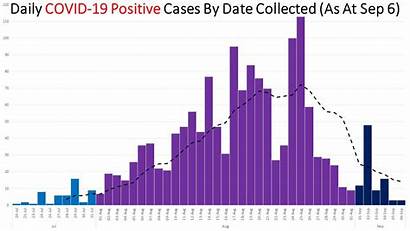 Covid Graph Cases Positive Daily Rate Sick