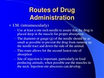 PPT - Routes of Drug Administration PowerPoint Presentation, free ...