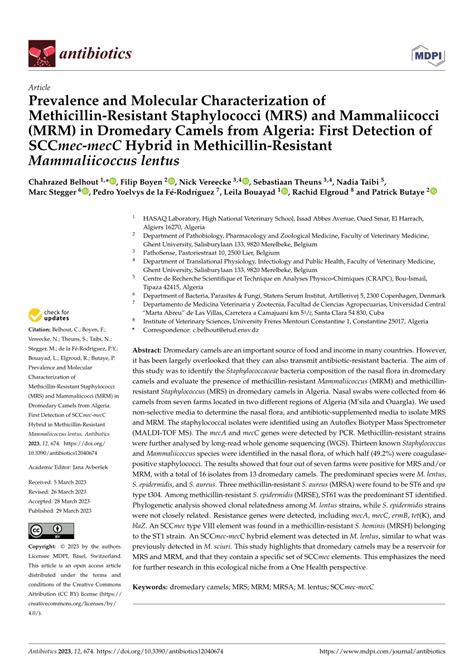 Pdf Prevalence And Molecular Characterization Of Methicillin