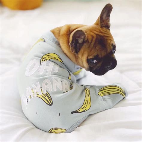 French Bulldog Puppies Onesie Pajamas Dog Clothes Pajamas 30 Off