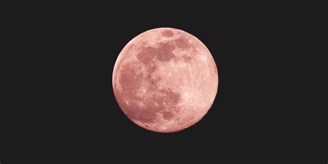 April 2023 Pink Libra Full Moon Horoscope Hypebae