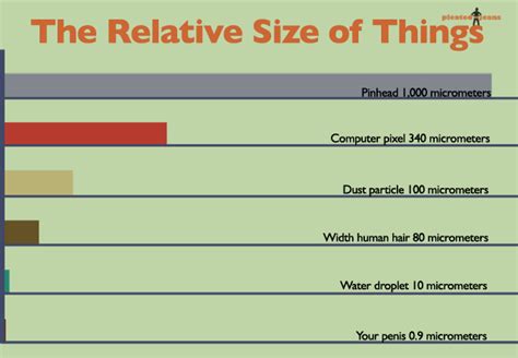 The Relative Size Of Things Chart