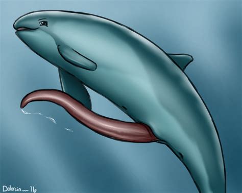 Rule 34 Anus Cetacean Cum Dolorcin Fin Grey Eyes Harbour Porpoise