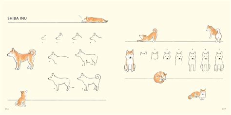 Drawing Lessons For Beginners Cute Animals By Ai Akikusa Quarto At A