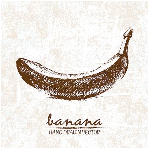 Free Vector Hand Drawn Banana Design