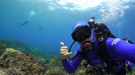 Big Island Shore Diving Kona Hawaii Kona Honu Divers Youtube