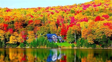 Spectacular Autumn Foliage Is Forecast For New England