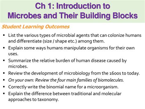 Welcome To Micro Biology Ppt Download