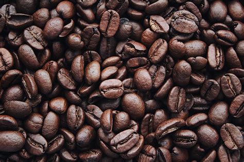 Coffee Beans · Free Stock Photo