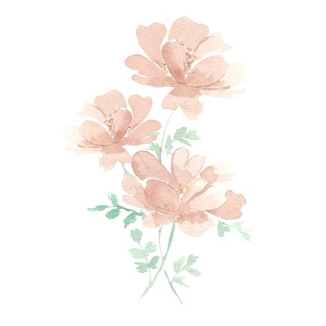 Peach Peony Watercolor Flower Arrangement Decoration Free Png And Psd