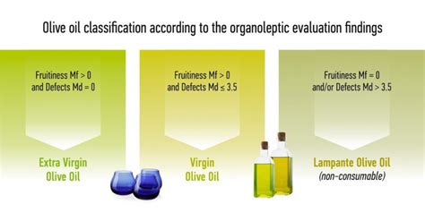 Olive Oil Quality Organoleptic Evaluation Olive Oil Organoleptic