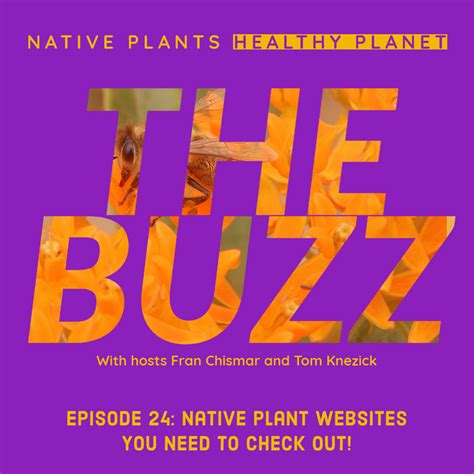 The Buzz Native Plant Websites You Need To Check Out