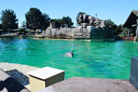 5 Tips When Visiting Seaworld In San Diego California Mom Life In