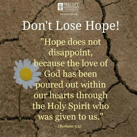Dont Lose Hope 11212022 Written By Dawn Ivey For Drawing Closer