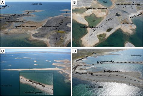 Morphological And Evolutionary Patterns Of Emerging Arctic Coastal