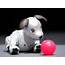 Sony Aibo Robot Dog Price Launch Date Full Details & Description