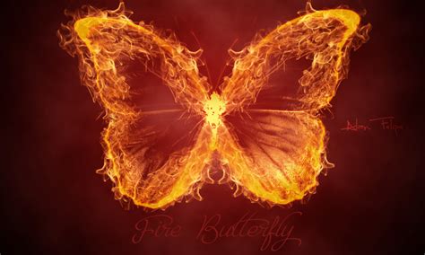 Fire Butterfly By Ibreakout On Deviantart Butterfly Man Orange