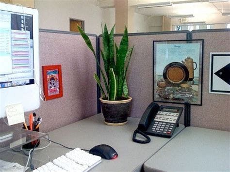 5 Tips For Setting Up A Stylish Office Cubicle Cubicle Decor Office