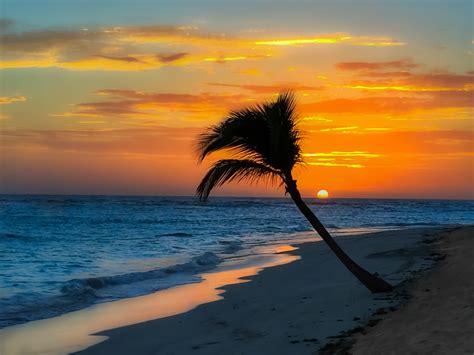 Fred Backhaus Photography Punta Cana Dominican Republic Palm Tree Sunset
