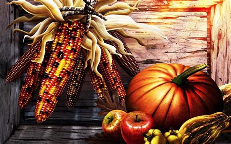 Funny Thanksgiving Wallpapers Wallpaper Cave