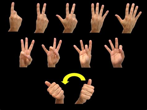 Numbers Asl American Sign Language