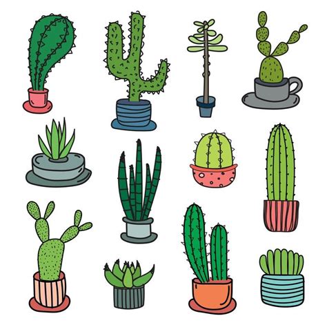 Hand Drawn Cactus Vector Set Cactus Clipart Set Botanic Clipart