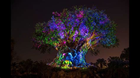 Tree Of Life Awakens In Disney Animal Kingdom Night Time