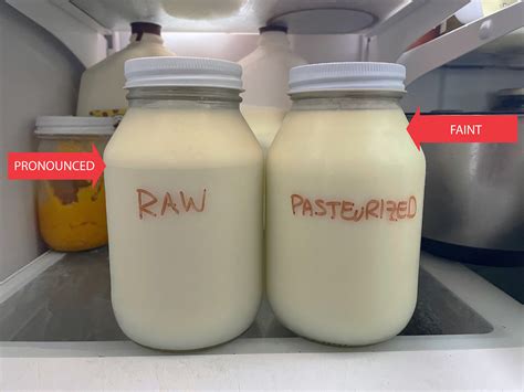 The Difference Is Visible How Milk Changes From Raw To Cream Top