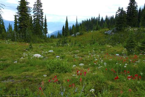 Download Wallpaper Mount Revelstoke National Park British Columbia