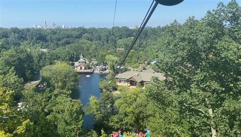 Eagle Zip Adventure Gives You A Birds Eye View Of The Zoo