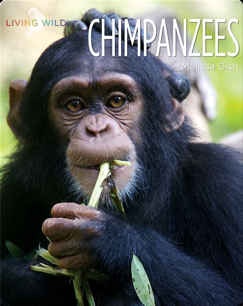 Chimpanzees Book By Melissa Gish Epic