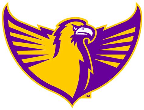 Tennessee Tech Golden Eagles Alternate Logo Ncaa Division I S T
