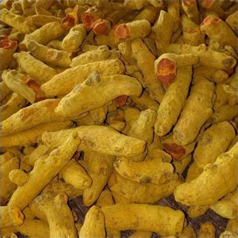 Salem Yellow Turmeric Finger For Food Haldi At Rs 70 Kg In Ahmedabad