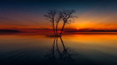 2560x1440 Horizon Lake Nature Reflection Sunset Tree 1440p