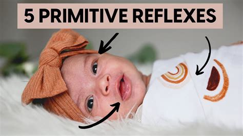 5 Important Infant Reflexes To Check Your Baby For Primitive