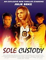 Ver Sole Custody (2014) online