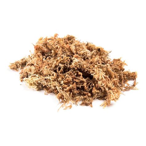 Dried Sphagnum Moss For Sale Peat Moss