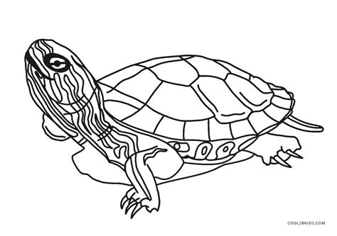 Dibujos de Tortugas para colorear - Páginas para imprimir gratis
