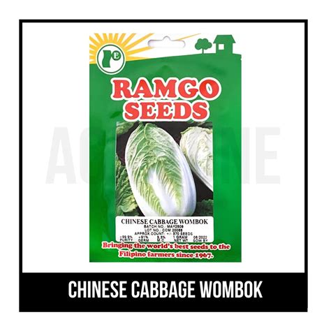 Ramgo Seeds Chinese Cabbage Wombok Lazada Ph