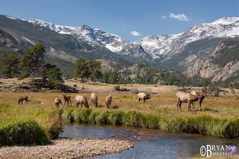 Elk Mountain Landscape Wildernessshots Photography