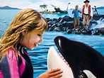 Free Willy: Escape From Pirate's Cove | Apple TV (NZ)